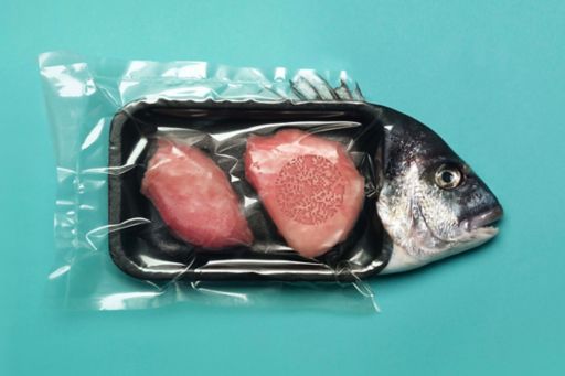 Fish in plastic packaging