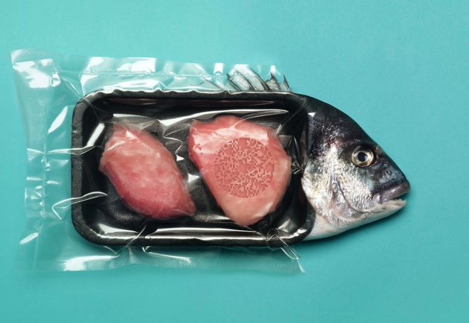 Fish in plastic packaging