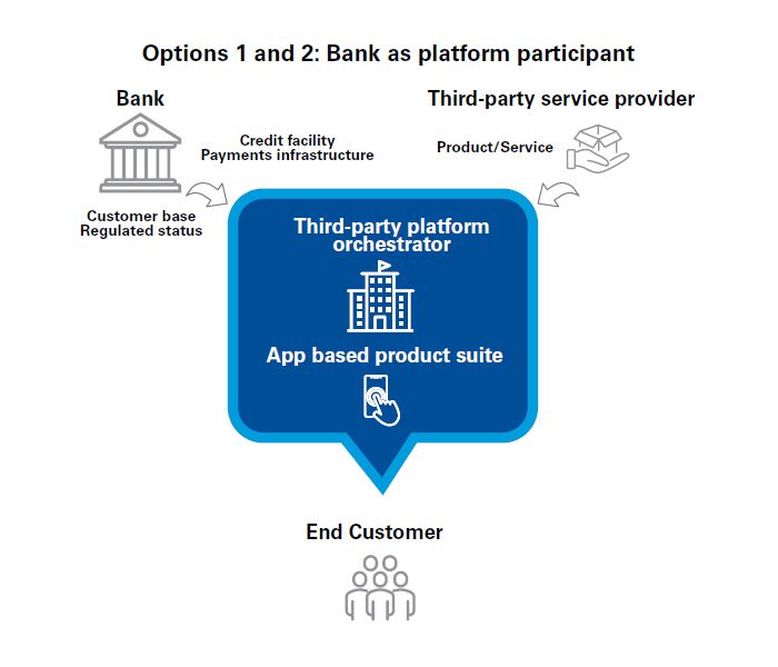 Options 1 and 2: Bank as platform participant