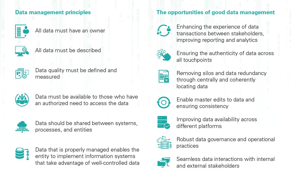 Infographic - Principles of data management