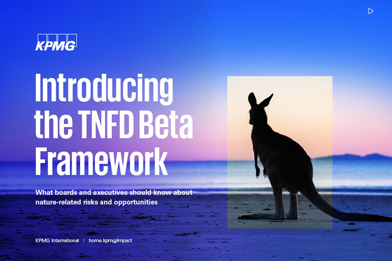 Introducing the TNFD beta Framework cover