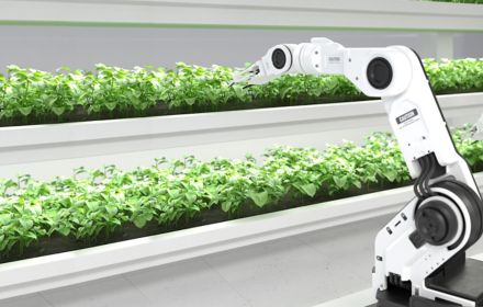 野菜の世話をするロボット