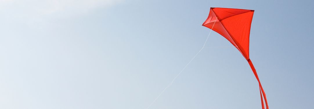 Kite flying in air