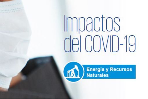 COVID Impactos del COVID-19 Energía y Recursos Naturales