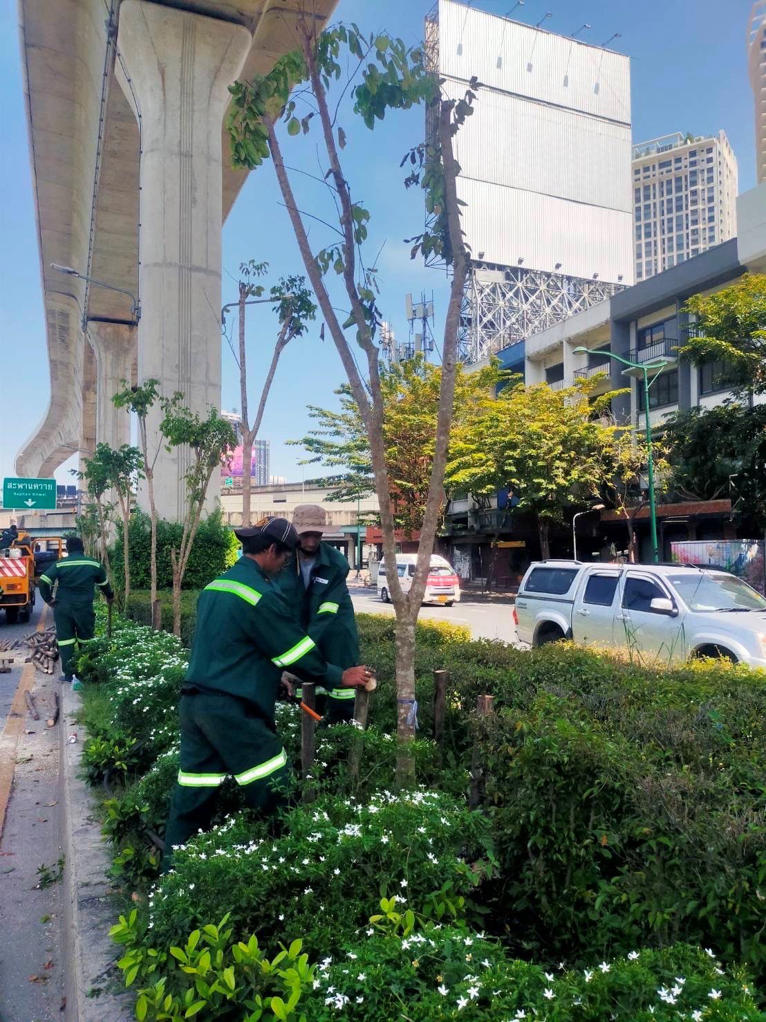 KPMG Grow Green for Bangkok
