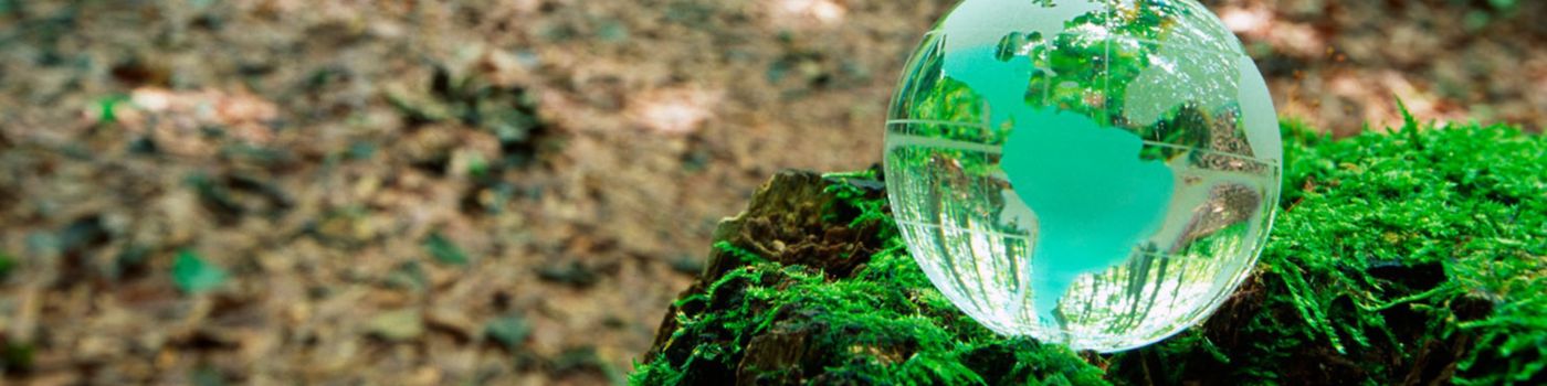 Globe in forest