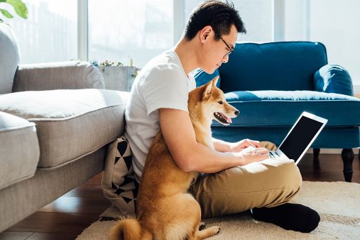 Man using laptop with dog