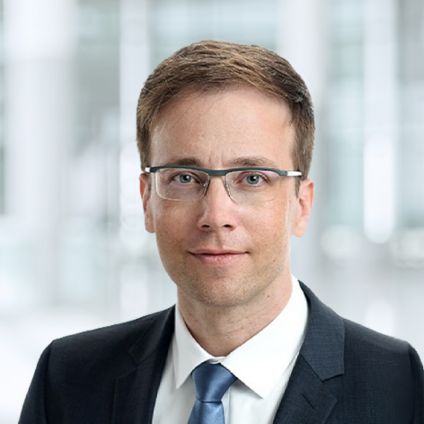 Prof. Dr. Mathias Birnbaum