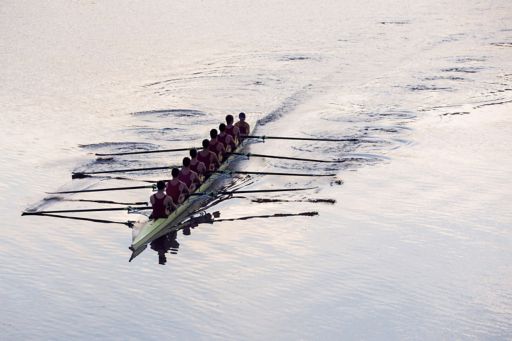Men rowing sport