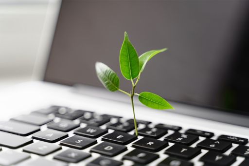 Pflanze wächst aus Laptop-Tastatur raus