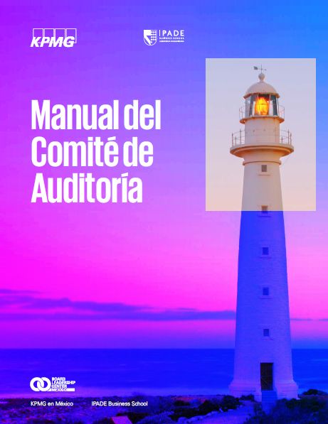 BLC - Manual del Comité de Auditoría