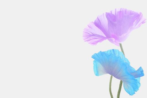 Violett und blaue Blume auf grauem Hintergrund - Clarity on Swiss Taxes 2022