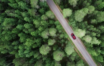 Aerial view of car and forest