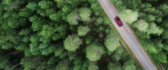Aerial view of car and forest