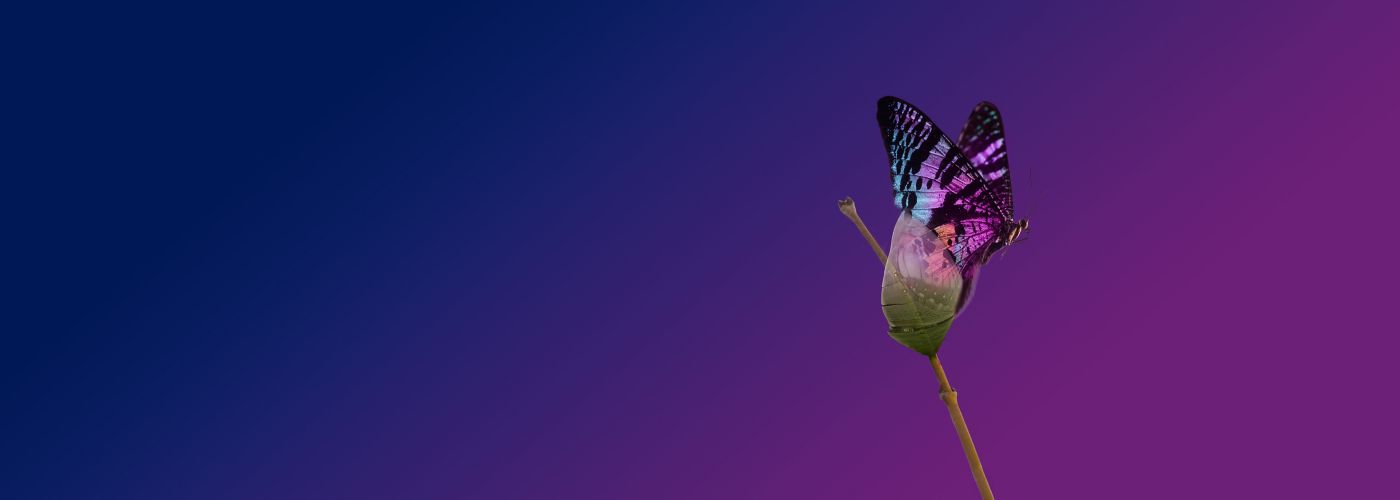 Colourful gradient with butterfly