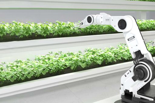 Robot plotting plants
