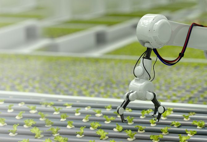 Roboterarm und kleine Pflanzen