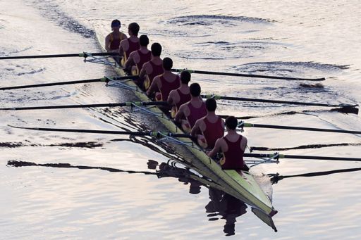 Rowers on water