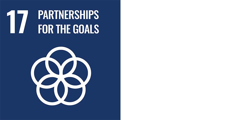 SDG 17 partnerships for the goals