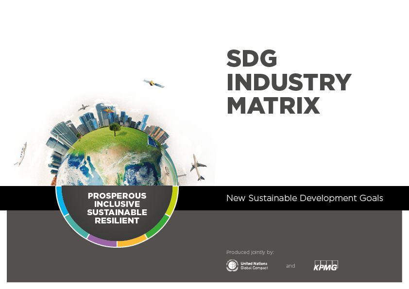 sdg industry matrix