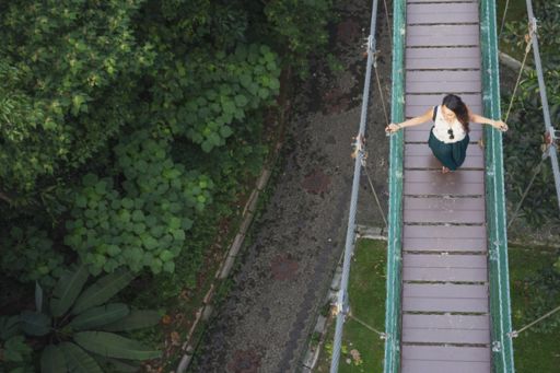 Top-view - Woman walking on wooden hanging bridge