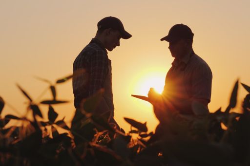 Two farmers talking on the field