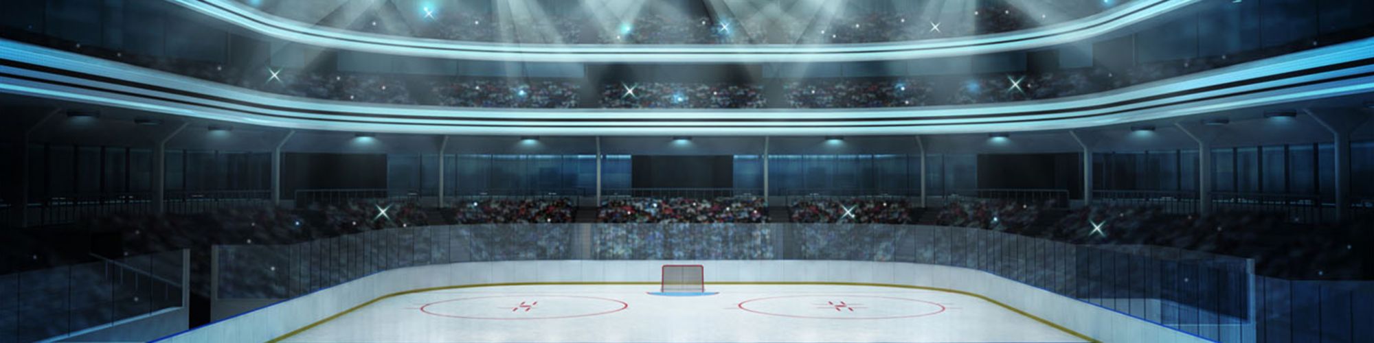 Wide view of a hockey rink