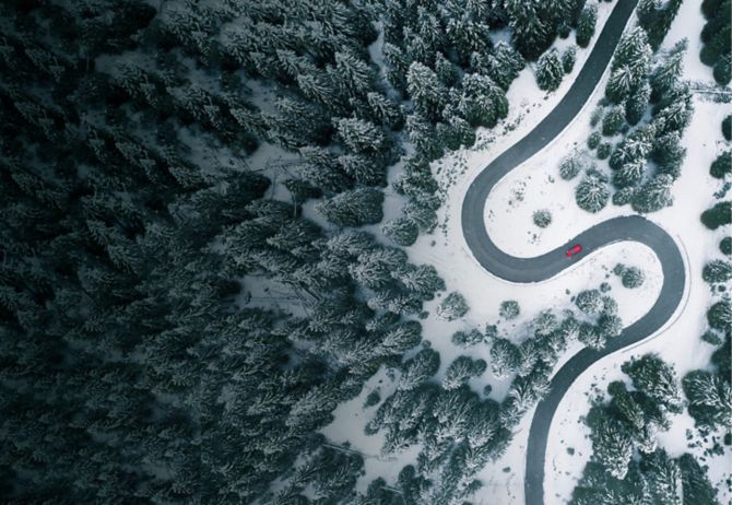 Winding road in a winter forest
