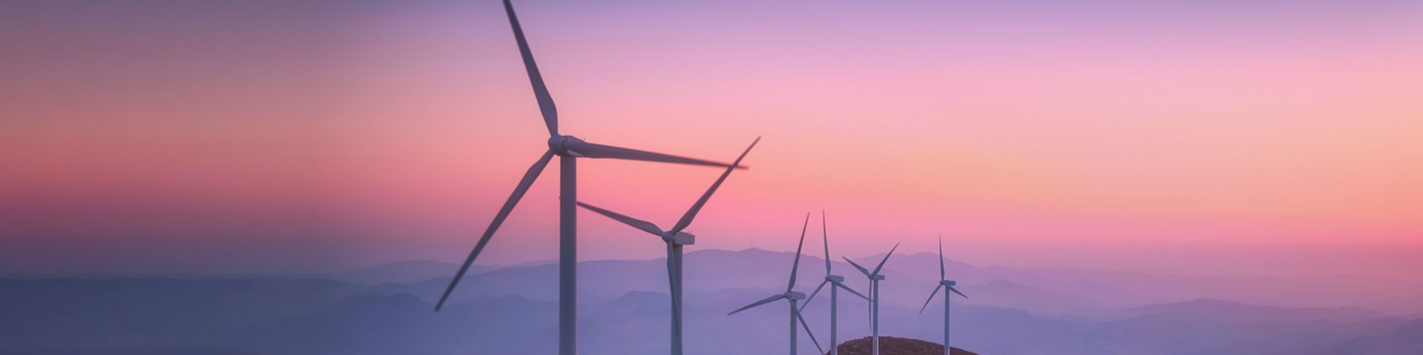 Climate Taxes wind turbines and sunset