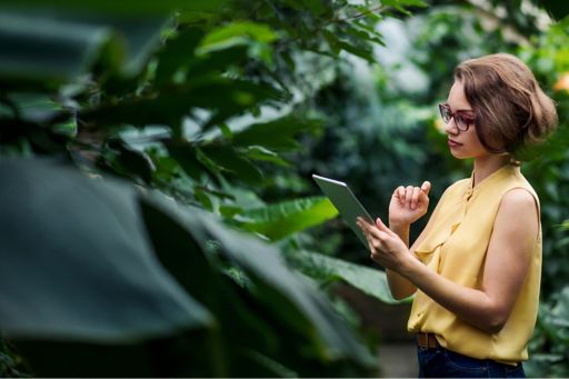 Woman working on tablet near plants