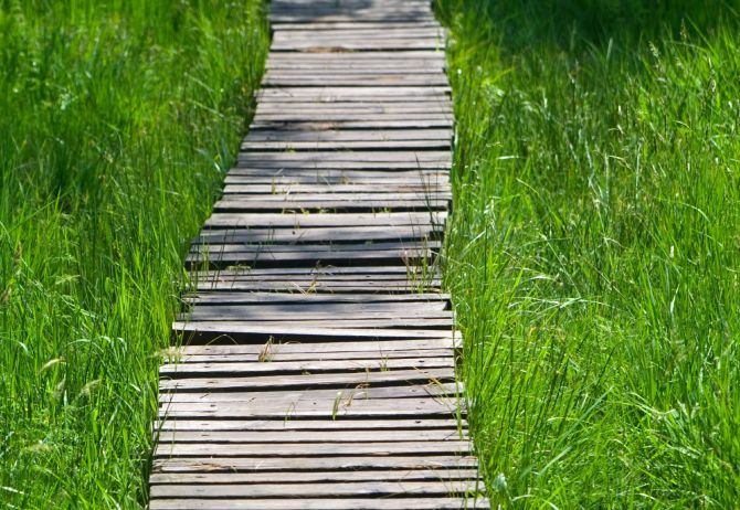 wood slat foot bridge green grass